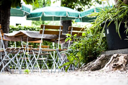 Garden wood beer garden