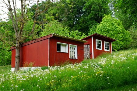 Tiny home mini meadow