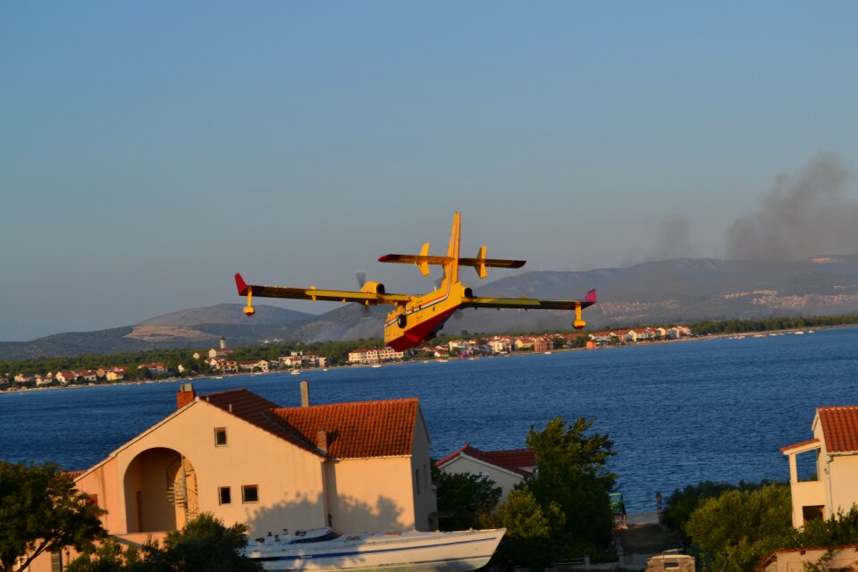 Dalmatia fire blue fire