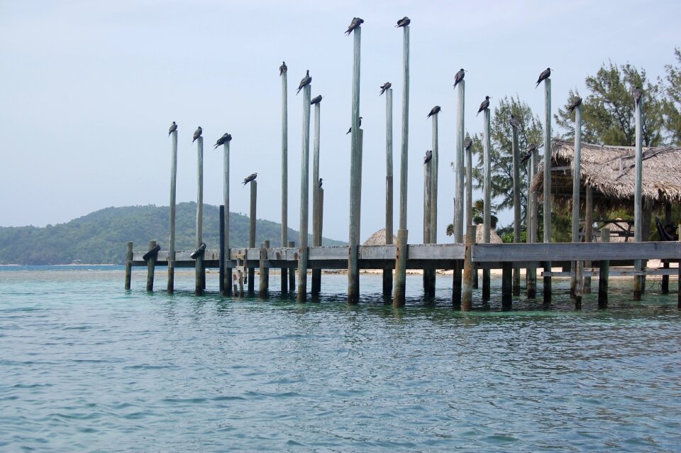 Summer docks coast
