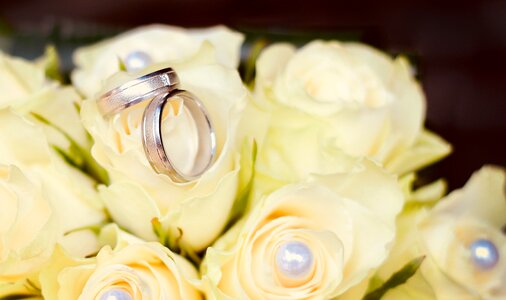 White rose strauss