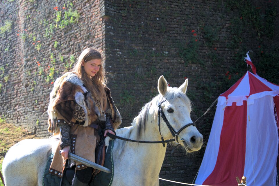 Fantasy medieval horse