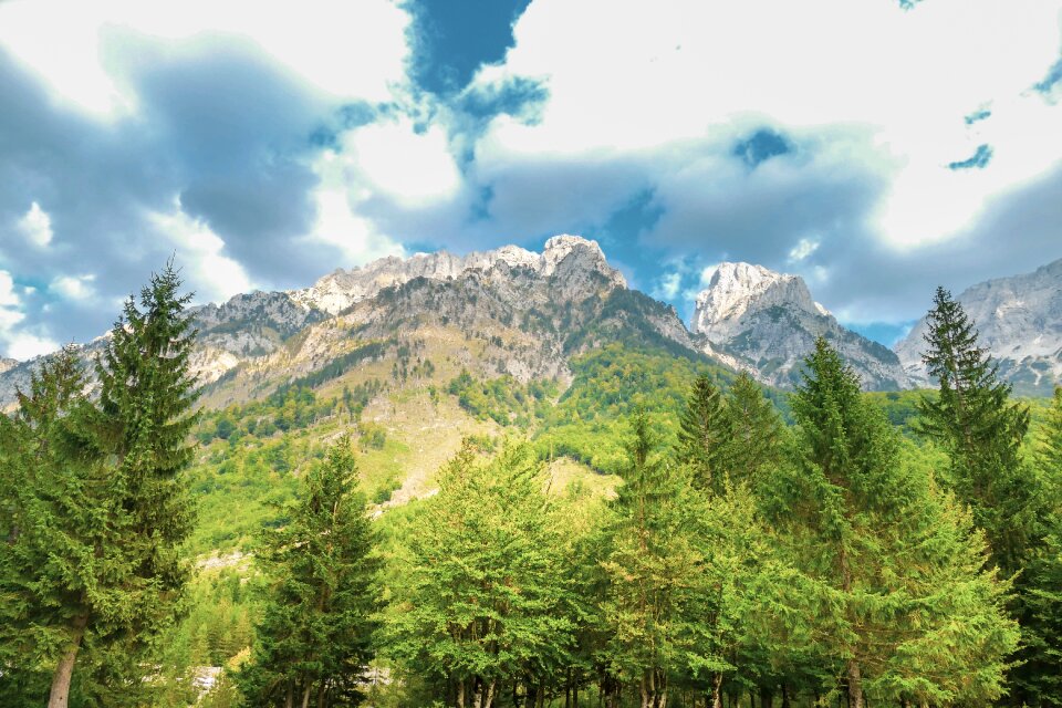 Mountains forest trees