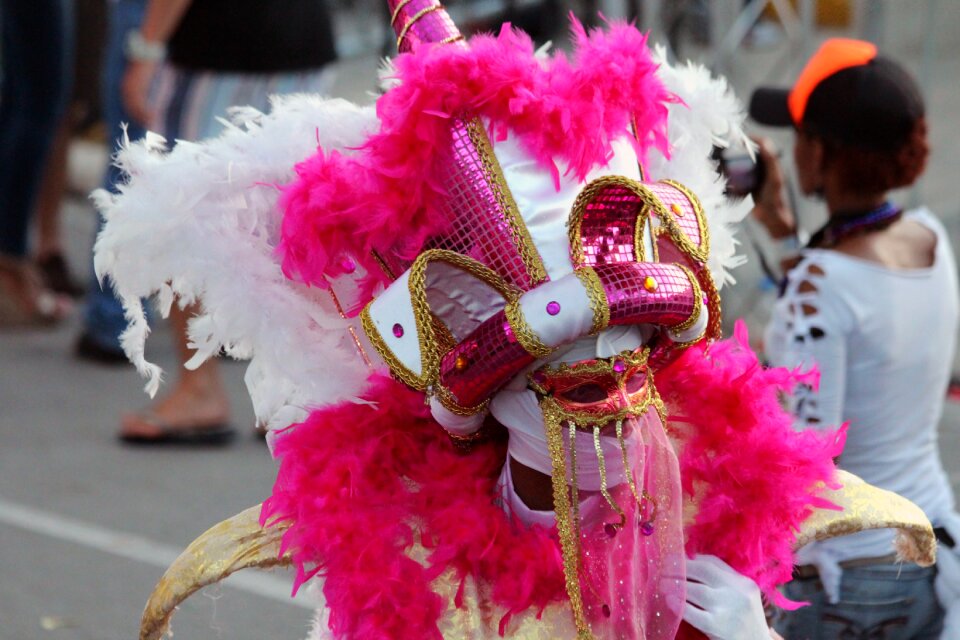 Fun holiday carnival costume