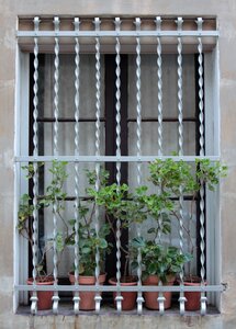 Architecture art flowers