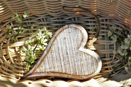 Spring feeling emotions