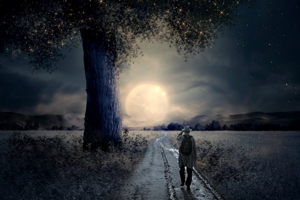 Night full moon moonlight