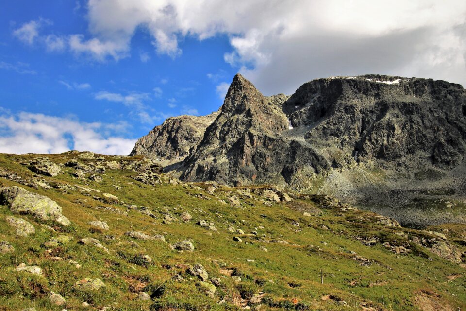 Meadows the height of the julierpass