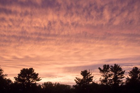 Clouds cloudscape trees