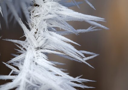 Cold frozen frost photo
