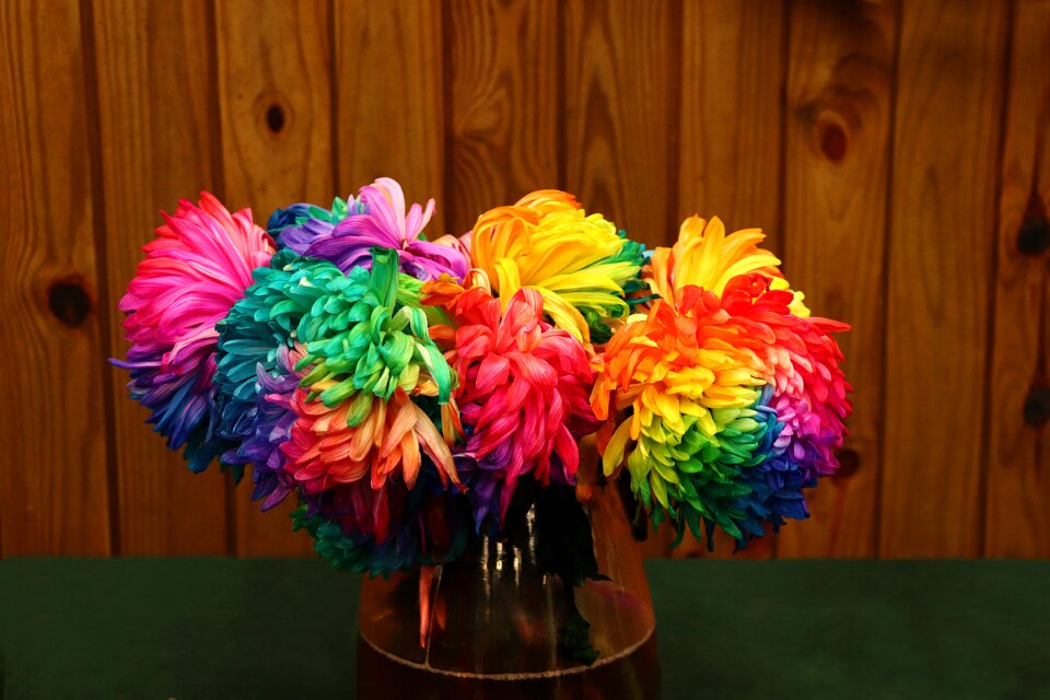 Bouquet colorful petal