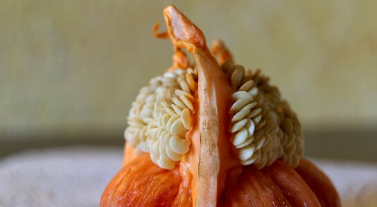 Fruit close up macro photography photo