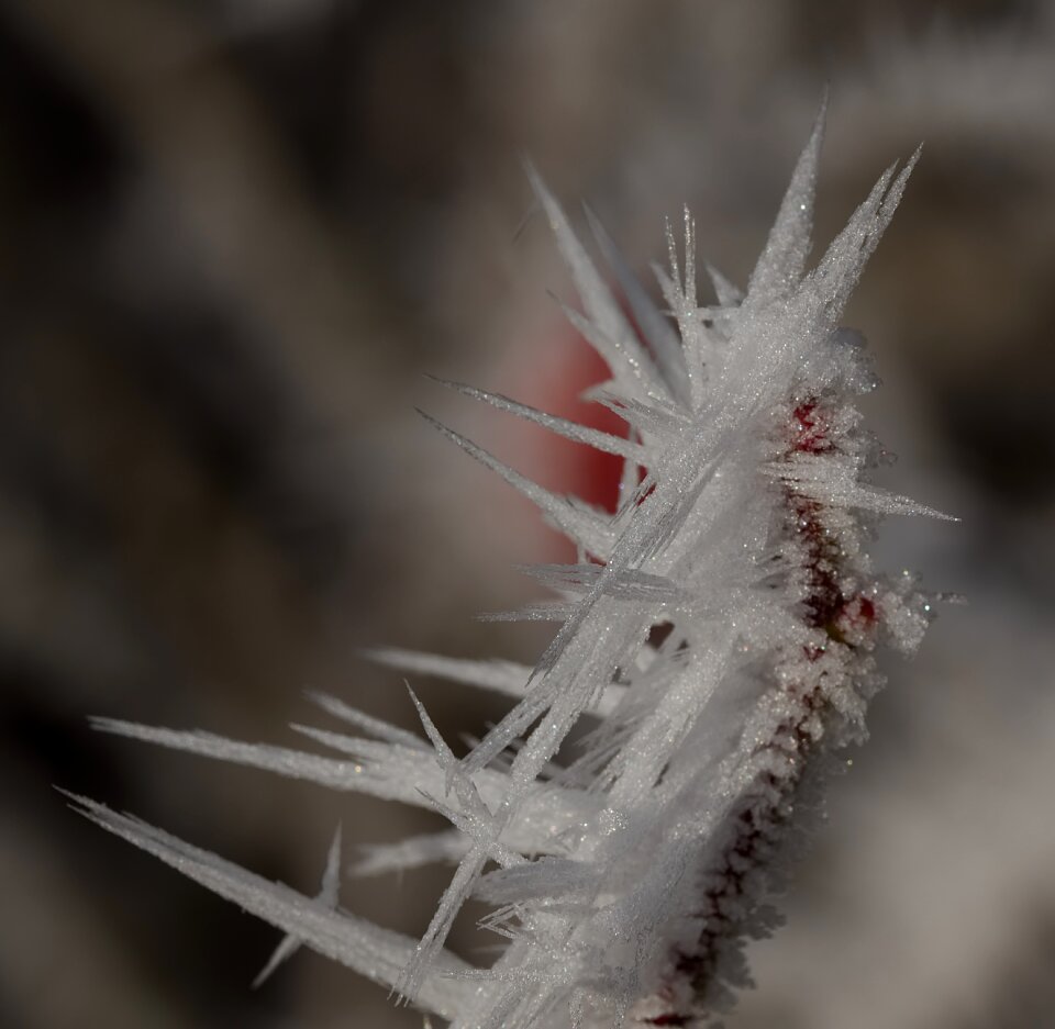 Cold frozen frost