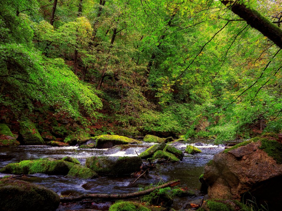 Nature creek rock