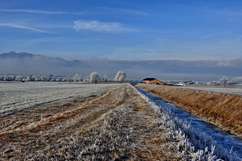 Cold frozen nature