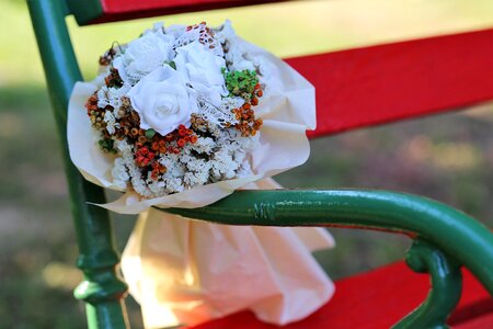 Park marriage celebration