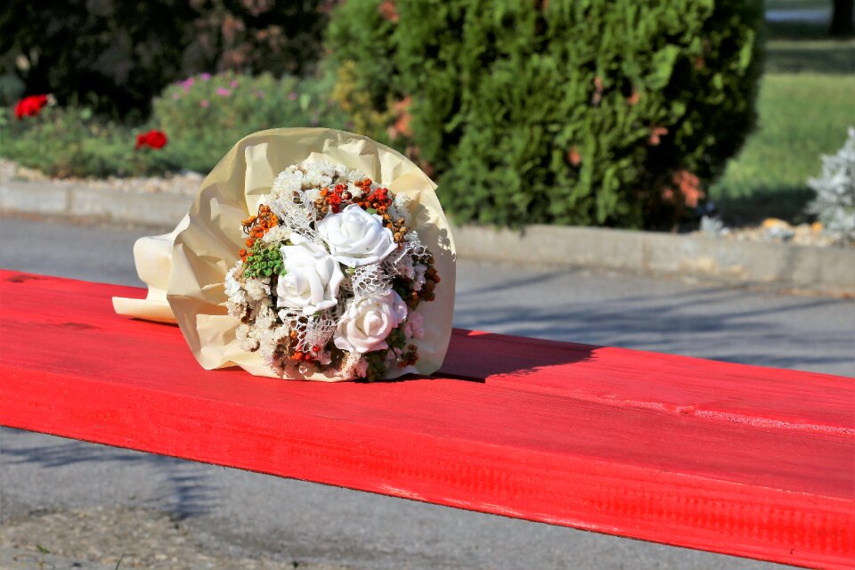 Park marriage celebration
