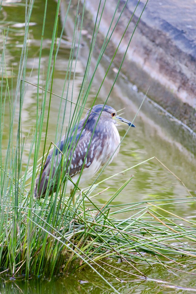 Park tropical wildlife