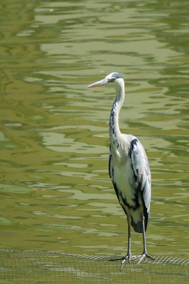 Park tropical wildlife