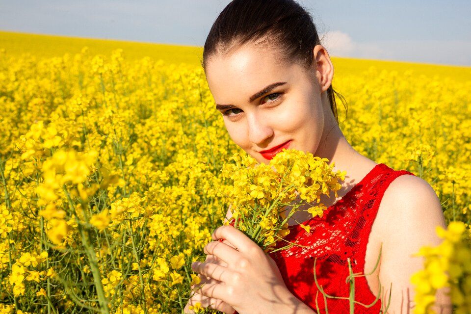 Country nature yellow