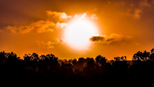 Sun nature afternoon