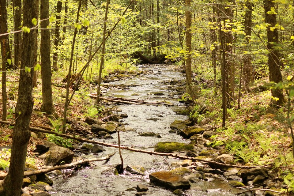 Nature landscape natural