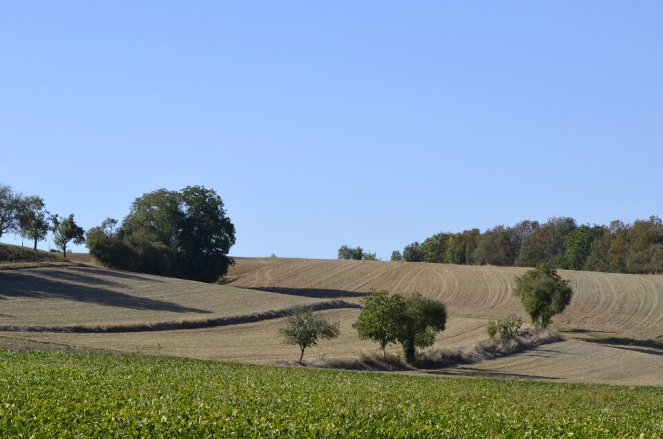 Harvested harvest agriculture