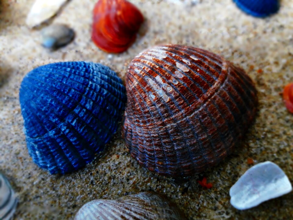Sea nature holiday