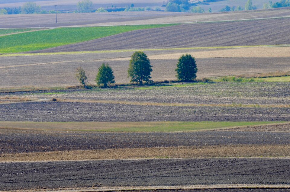 Landscape harvest rural