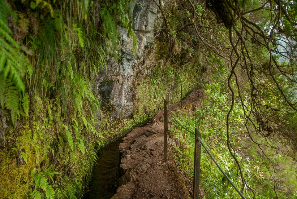 Irrigation trail hiking