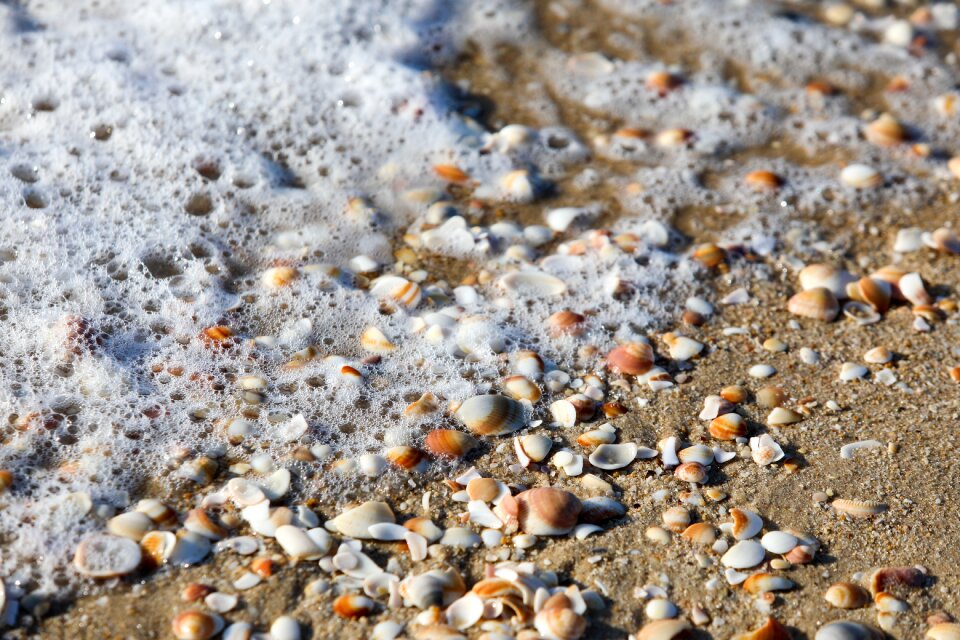 Water ocean sand photo