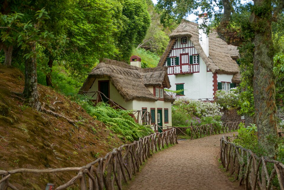 Thatch roof pavilion