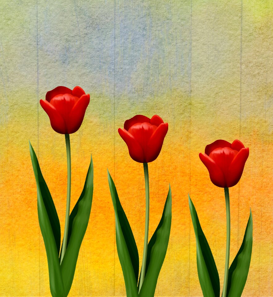 Nature floral romance