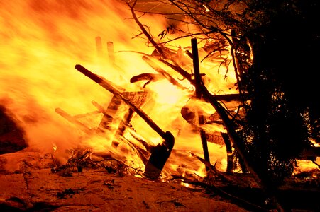 Outdoors tree burn