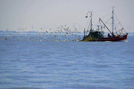 Nordssee fishing vessel fisherman photo