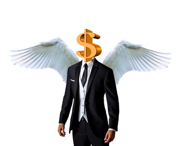 Investor investment venture