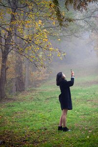 Fog gil autumn leaves