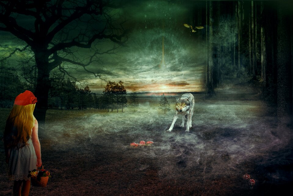 Weird forest mystical