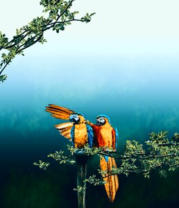 Branch love romance