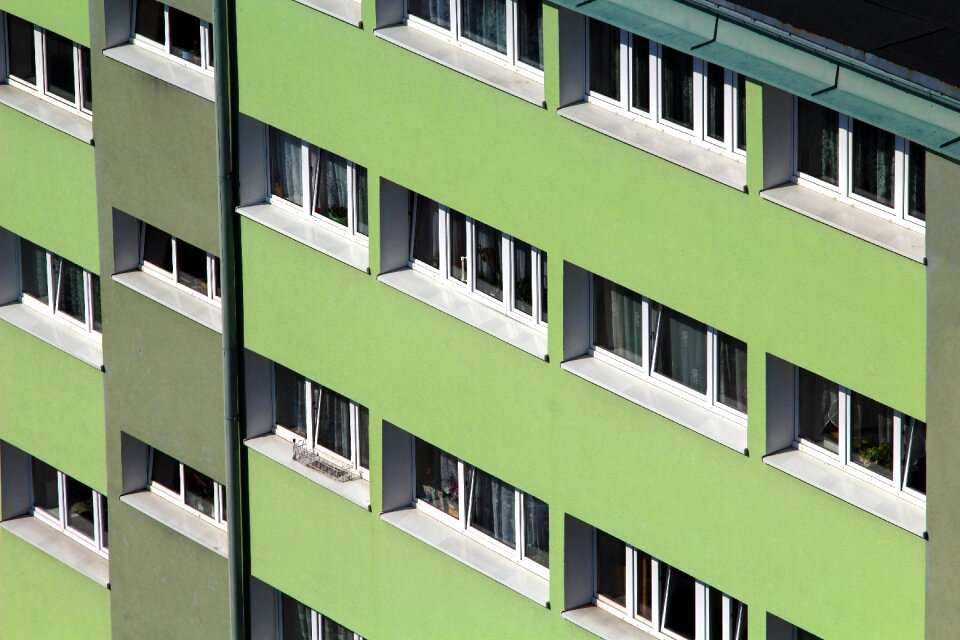Osiedle green window sill