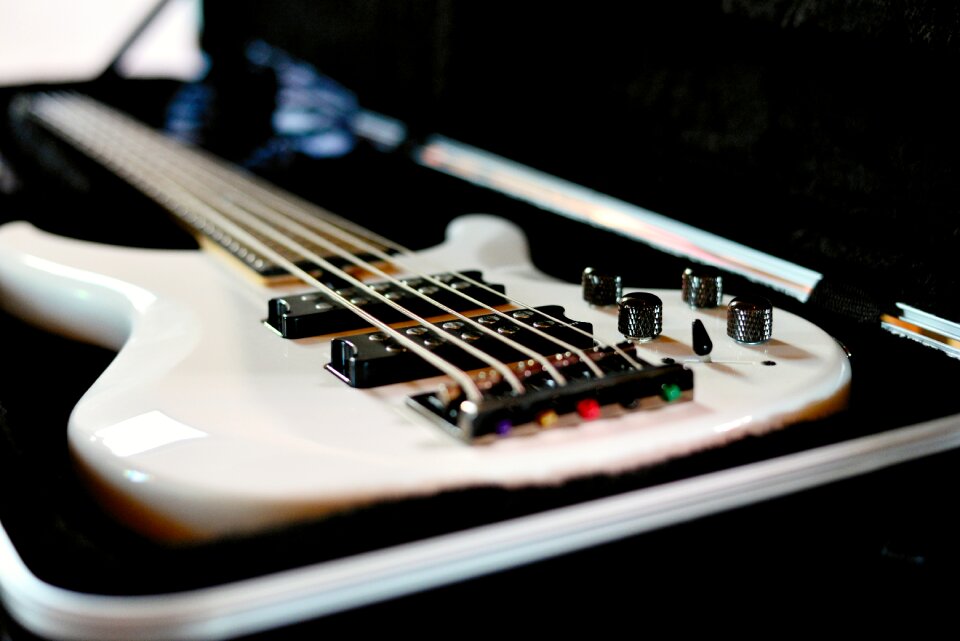 Instrument musician electric guitar