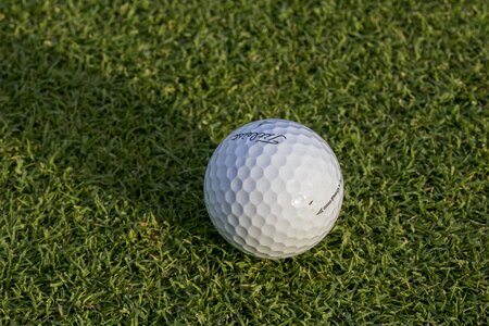 Grass sport golfers photo