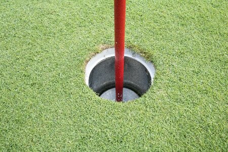 Grass sport golfers