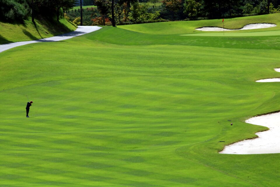 Grass sport golfers