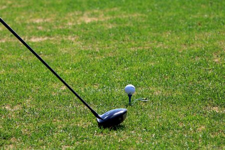 Grass sport golfers