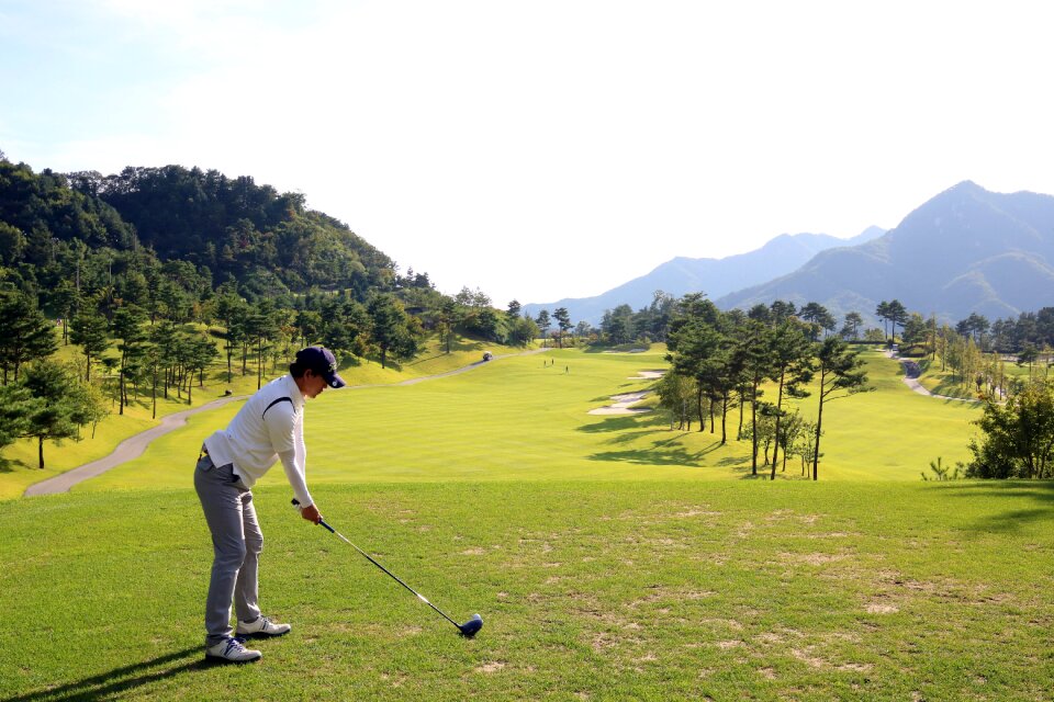 Grass sport golfers