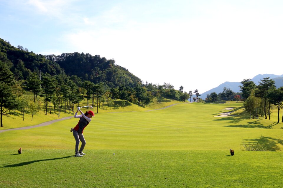 Grass sport golfers