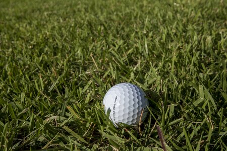 Grass sport golfers photo