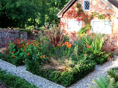 Part of a parterre in an English garden. Photo taken in September 2007, showing the development of the garden. The beds are edged with Ilex crenata (Box-leaved holly) and are planted with orange and photo