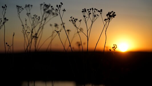 Summer sunset sky evening photo